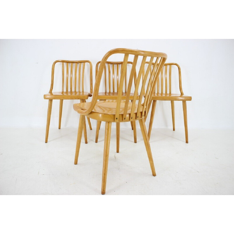 Conjunto de 4 cadeiras de jantar em madeira de faia de Antonin Suman, Checoslováquia, década de 1960