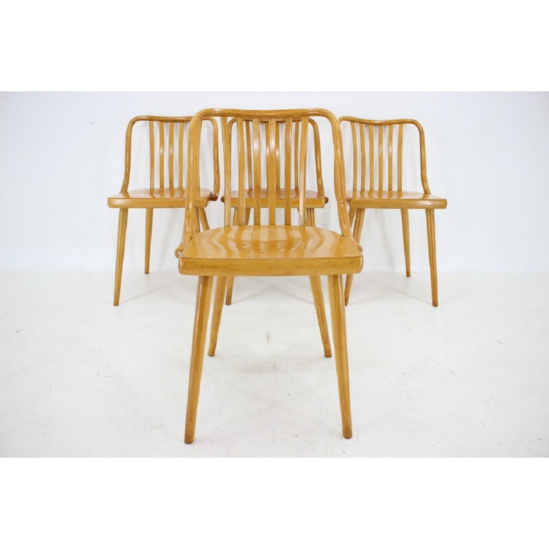 Conjunto de 4 cadeiras de jantar em madeira de faia de Antonin Suman, Checoslováquia, década de 1960
