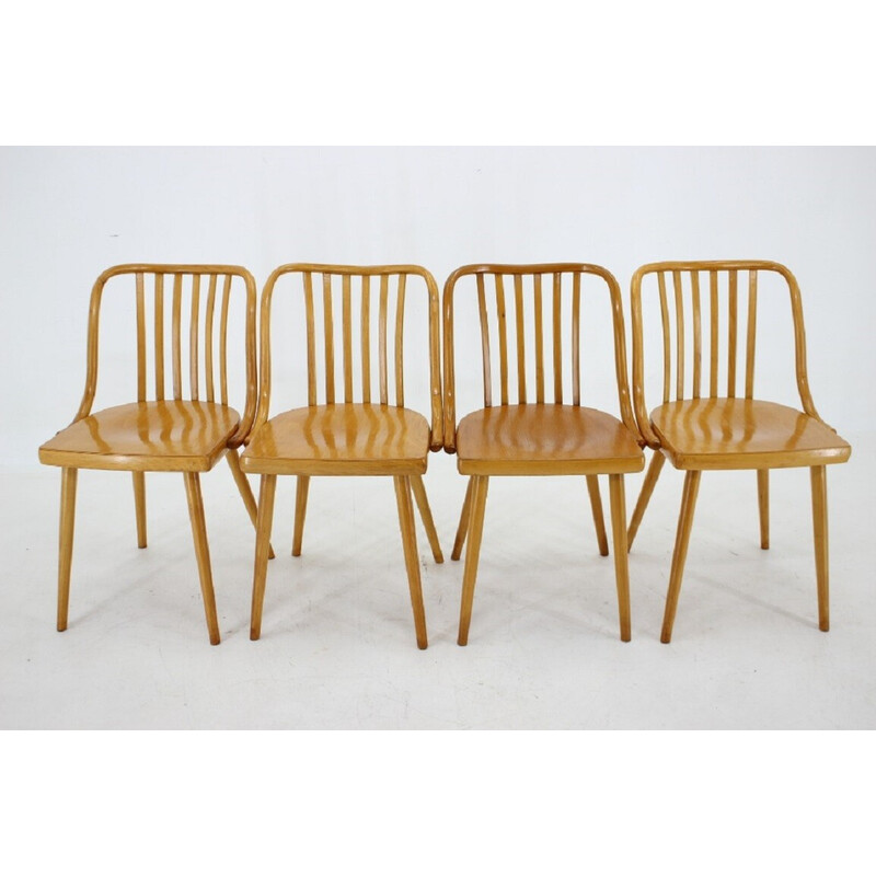 Ensemble de 4 chaises vintage en hêtre par Antonin Suman, Tchécoslovaquie 1960