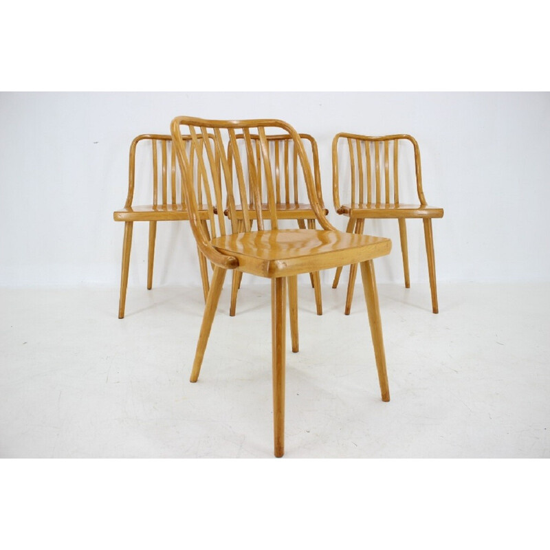 Set di 4 sedie da pranzo vintage in faggio di Antonin Suman, Cecoslovacchia 1960