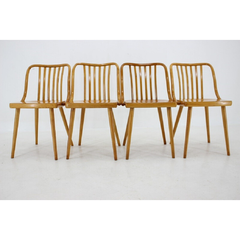 Juego de 4 sillas de comedor vintage de madera de haya de Antonin Suman, Checoslovaquia Años 60