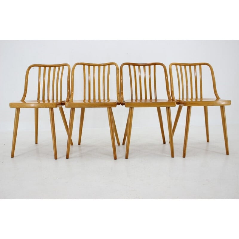 Set of 4 vintage beechwood dining chairs by Antonin Suman, Czechoslovakia 1960s