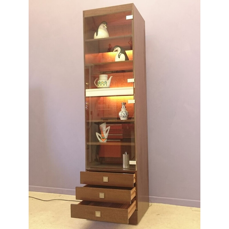 Rosewood bookcase with glass door and neons - 1970s