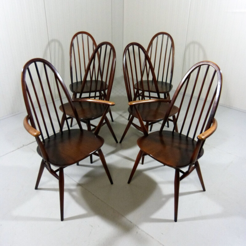 Set of 6 Windsor dining chairs by Lucian Ercolani for Ercol - 1950s