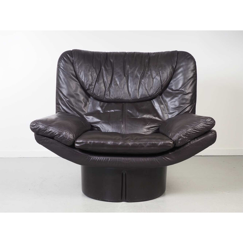 Vintage Il Poltrone armchair by Ammanati and Vitelli for Comfort
