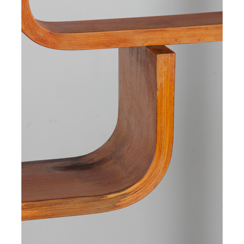 Vintage Czech mahogany railing by Ludvik Volak for Drevopodnik Holesov, 1960