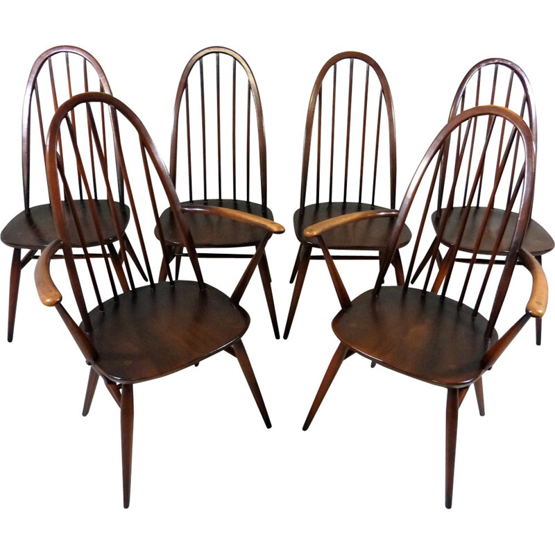 Lot de 6 chaises à repas de Lucian Ercolani pour Ercol - 1950