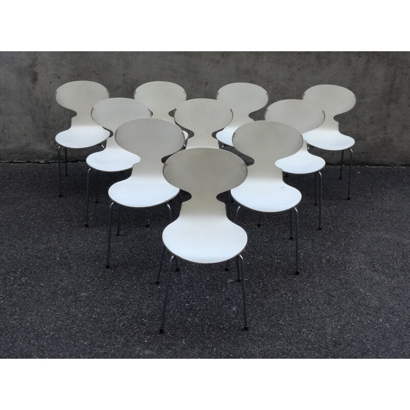 Suite de 10 chaises Fourmi modèle 3100 edition Fritz Hansen de Arne Jacobsen - 1970