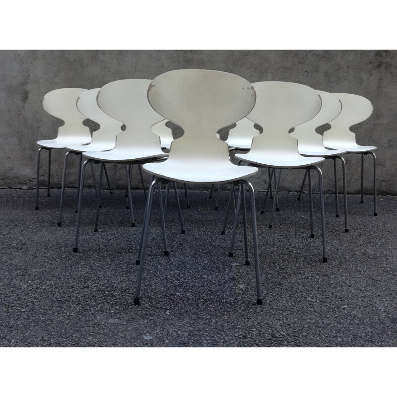 Set of ten chairs model Ant 3100 by Arne Jacobsen for Fritz Hansen - 1970s