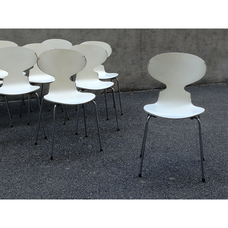 Set of ten chairs model Ant 3100 by Arne Jacobsen for Fritz Hansen - 1970s