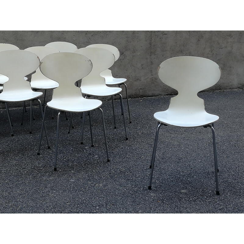 Suite de 10 chaises Fourmi modèle 3100 edition Fritz Hansen de Arne Jacobsen - 1970
