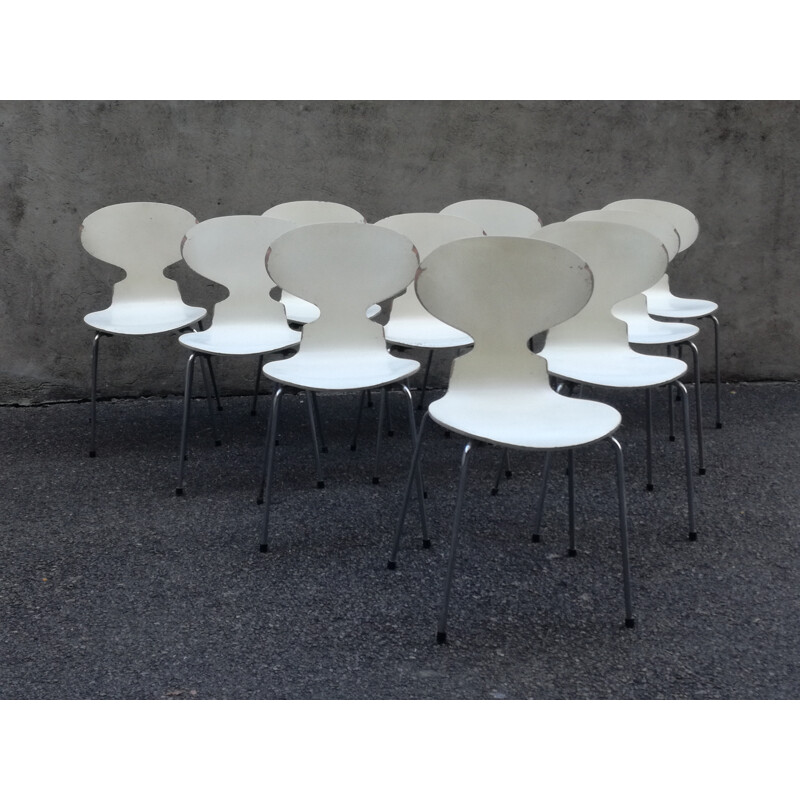 Suite de 10 chaises Fourmi modèle 3100 edition Fritz Hansen de Arne Jacobsen - 1970