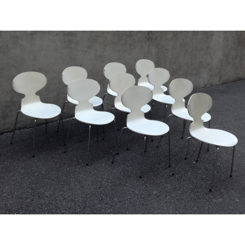 Set of ten chairs model Ant 3100 by Arne Jacobsen for Fritz Hansen - 1970s