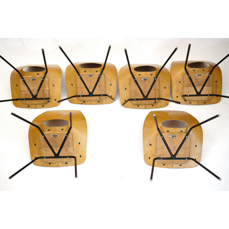 Conjunto de 6 cadeiras Tonneau vintage em metal e contraplacado de Pierre Guariche para Steiner, 1960