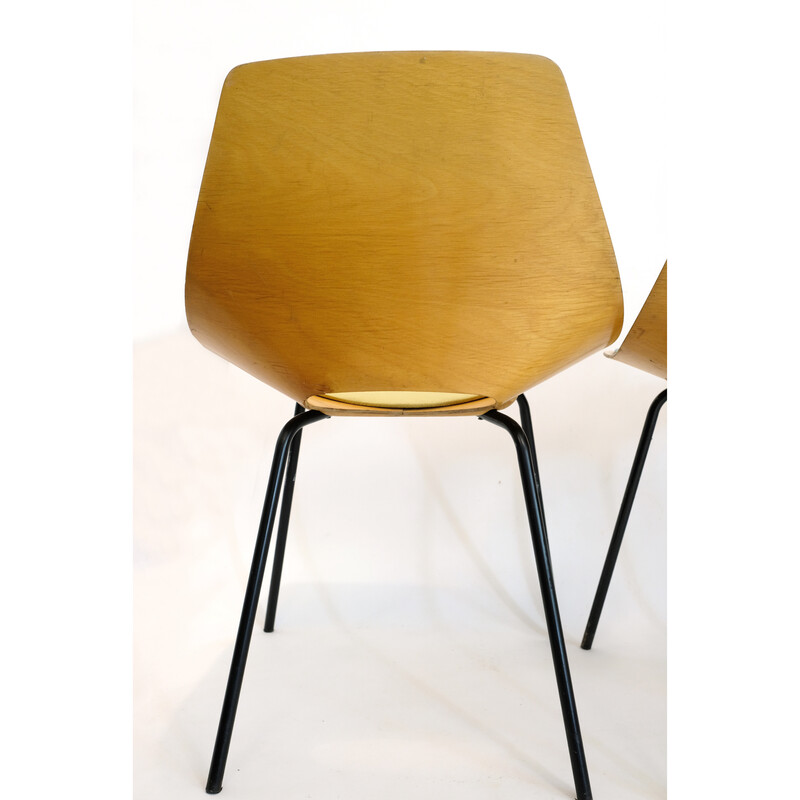Satz von 6 Vintage-Stühlen Tonneau aus Metall und Sperrholz von Pierre Guariche für Steiner, 1960