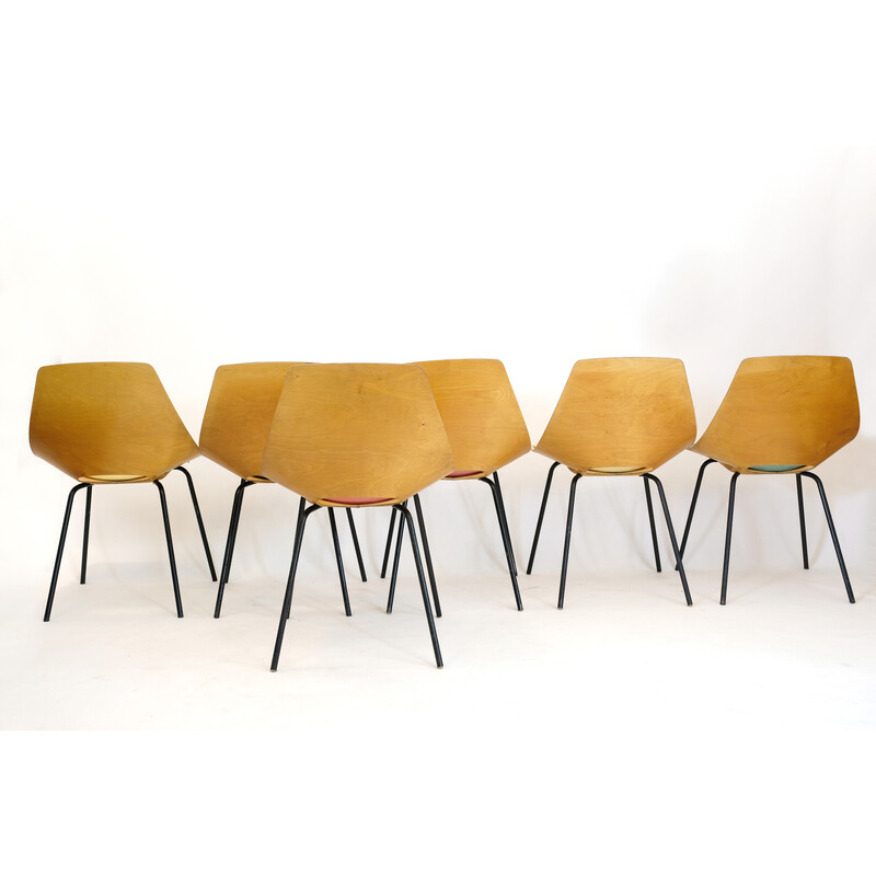 Set of 6 vintage Tonneau chairs in metal and plywood by Pierre Guariche for Steiner, 1960s