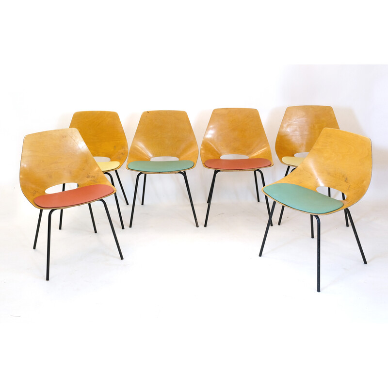 Ensemble de 6 chaises vintage Tonneau en métal et contreplaqué par Pierre Guariche pour Steiner, 1960