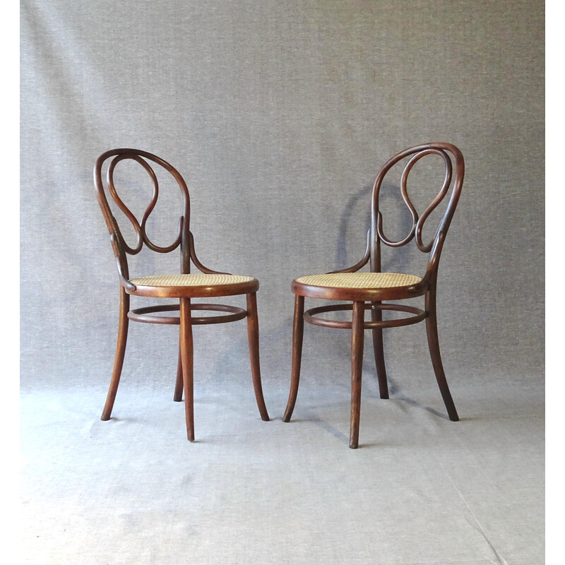Pair of vintage Omega no20 chairs by Thonet, 1985s