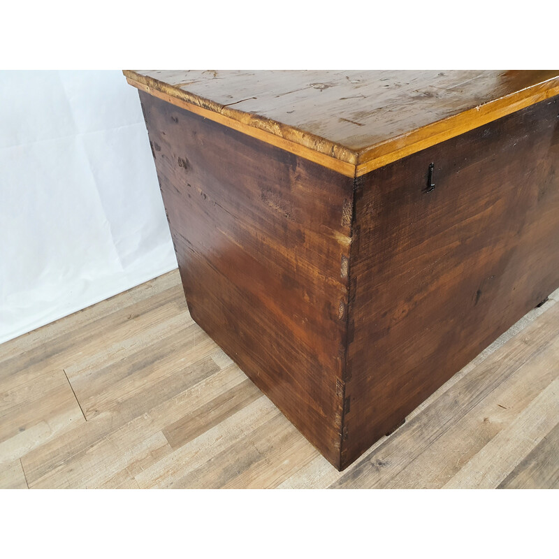 Vintage spruce and plank trunk, 1900s