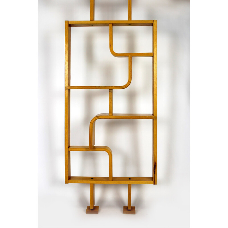 Mid-century room divider by Ludvik Volak for Drevopodnik Holesov, 1960s