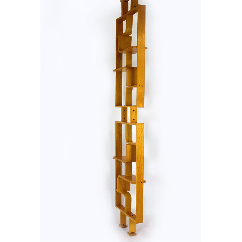 Mid-century room divider by Ludvik Volak for Drevopodnik Holesov, 1960s