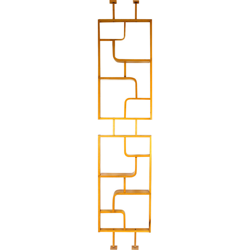 Mid-century room divider by Ludvik Volak for Drevopodnik Holesov, 1960s