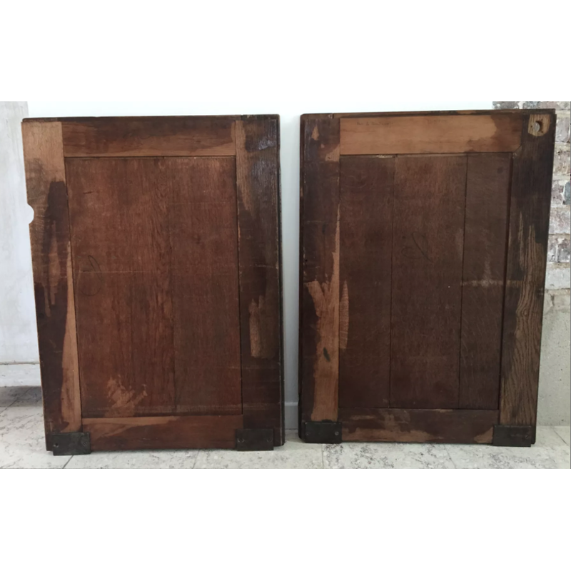 Pair of vintage oak and brass sliding doors