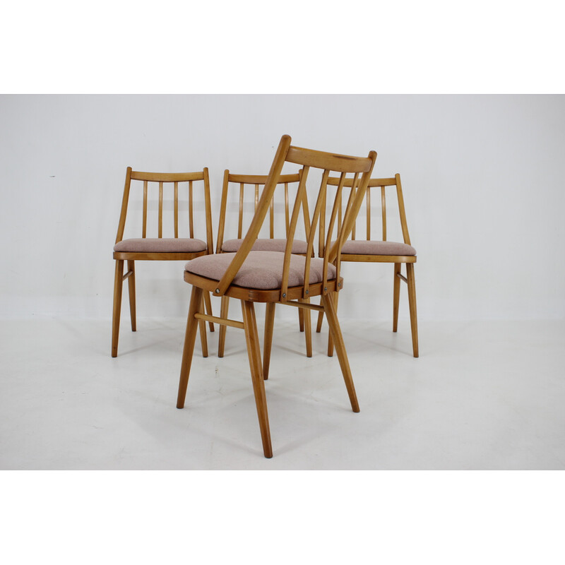 Juego de 4 sillas vintage de haya de Antonin Suman, años 70