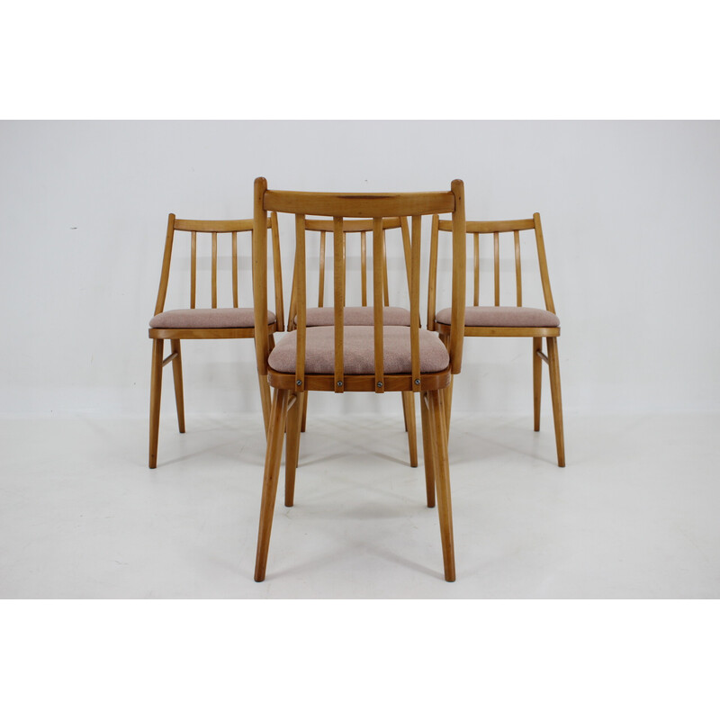 Conjunto de 4 cadeiras de faia vintage por Antonin Suman, década de 1970