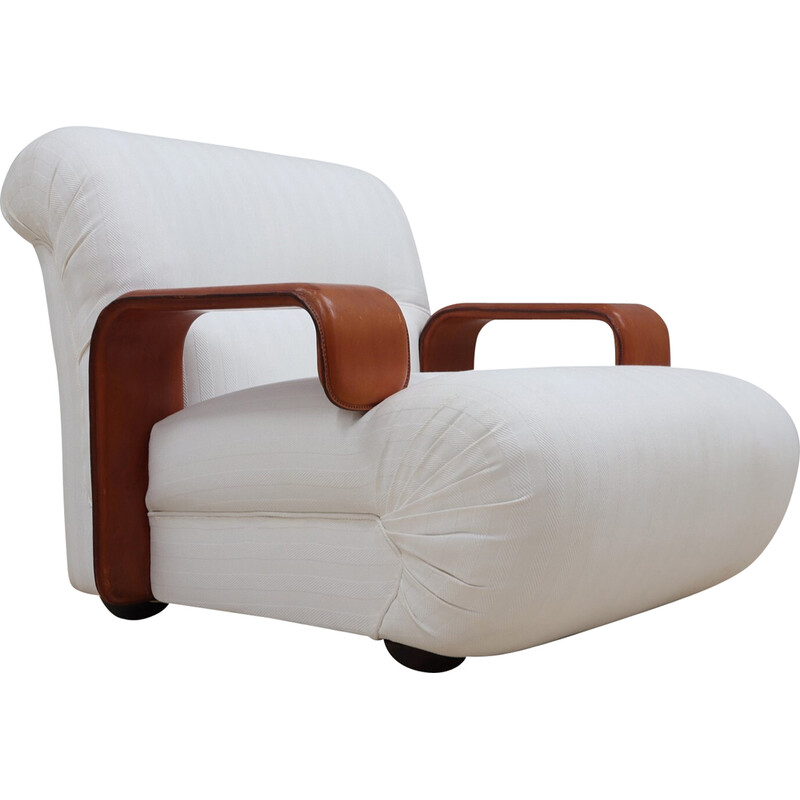 Fauteuil vintage de Franz T. Sartori, 1970