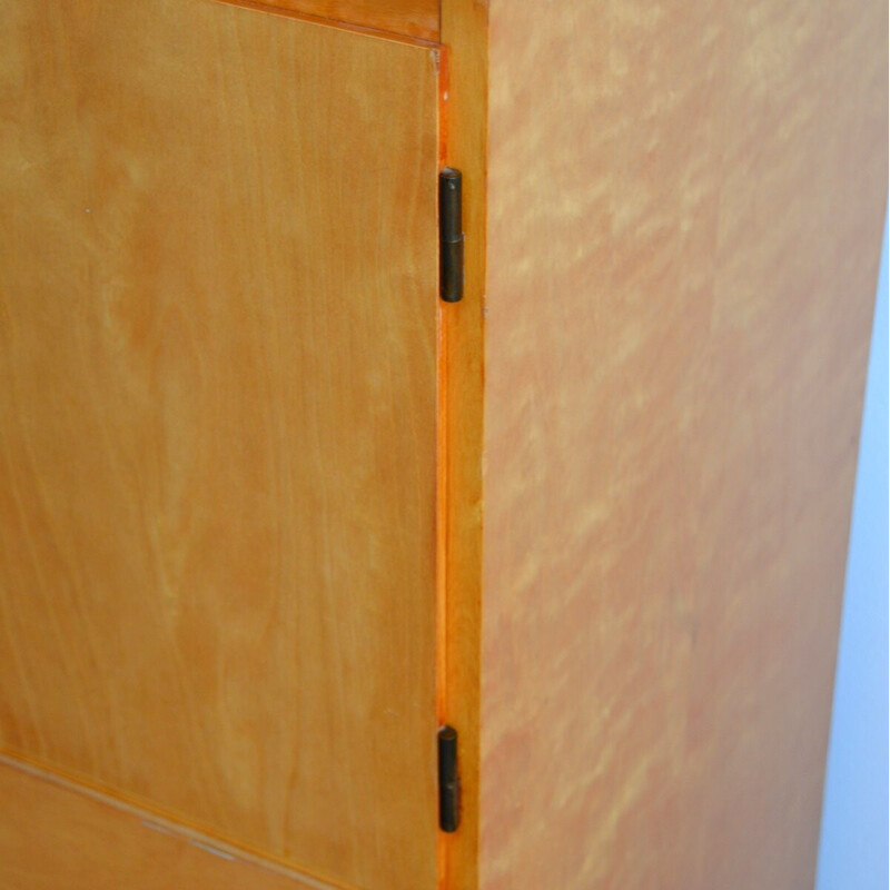 Vintage storage cabinet in lacquered birch veneer, 1950-1960