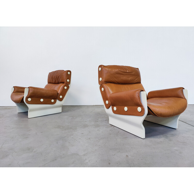 Pair of vintage Canada P110 armchairs by Osvaldo Borsani for Tecno, 1960s