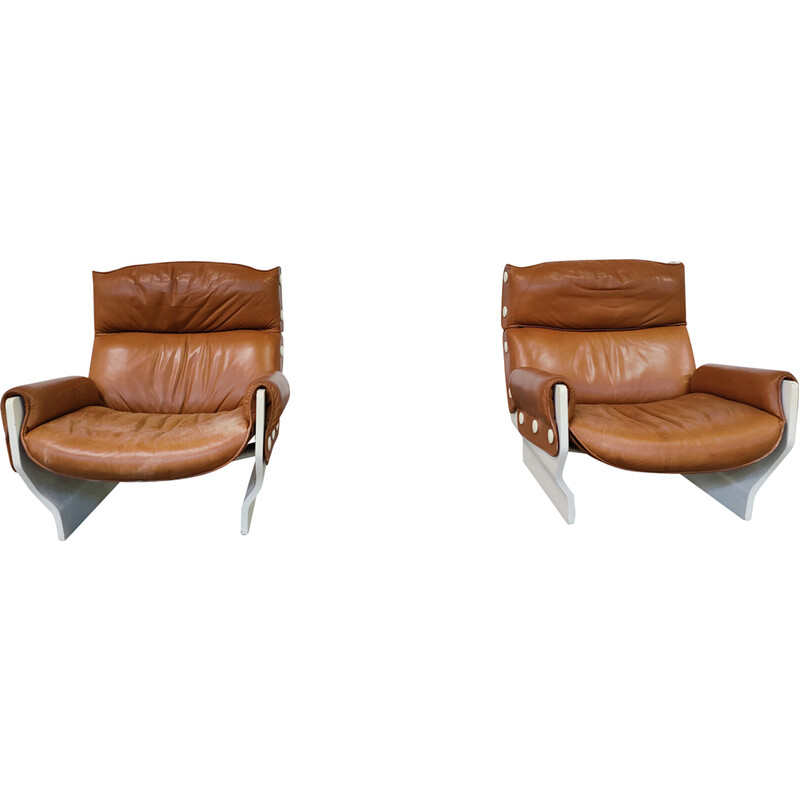 Pair of vintage Canada P110 armchairs by Osvaldo Borsani for Tecno, 1960s