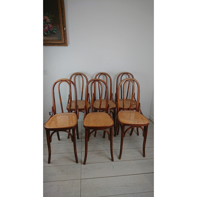 Set van 6 vintage stoelen van gebogen hout en riet, 1900