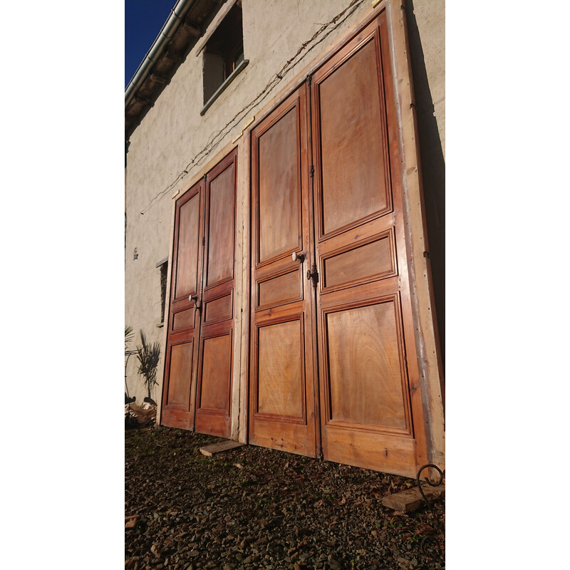 Vintage double communication doors