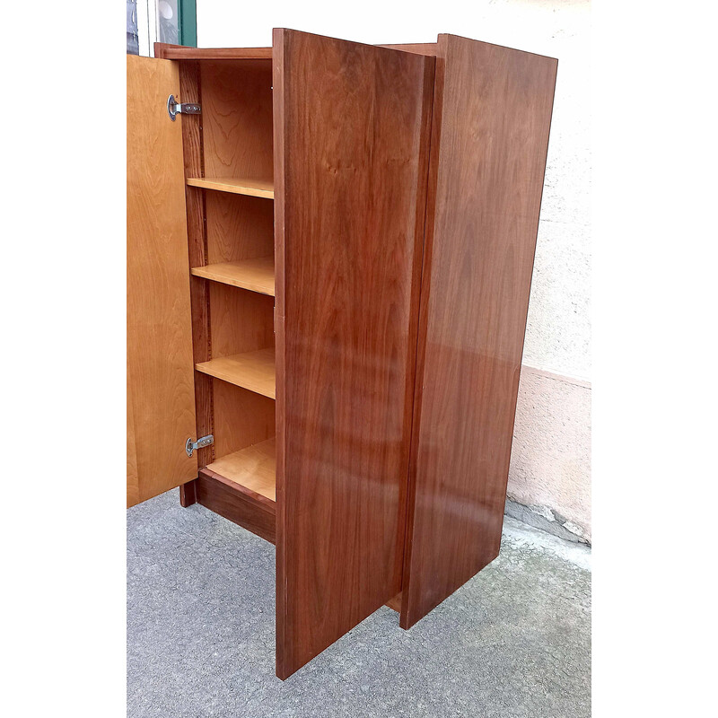 Vintage walnut storage cabinet, 1960