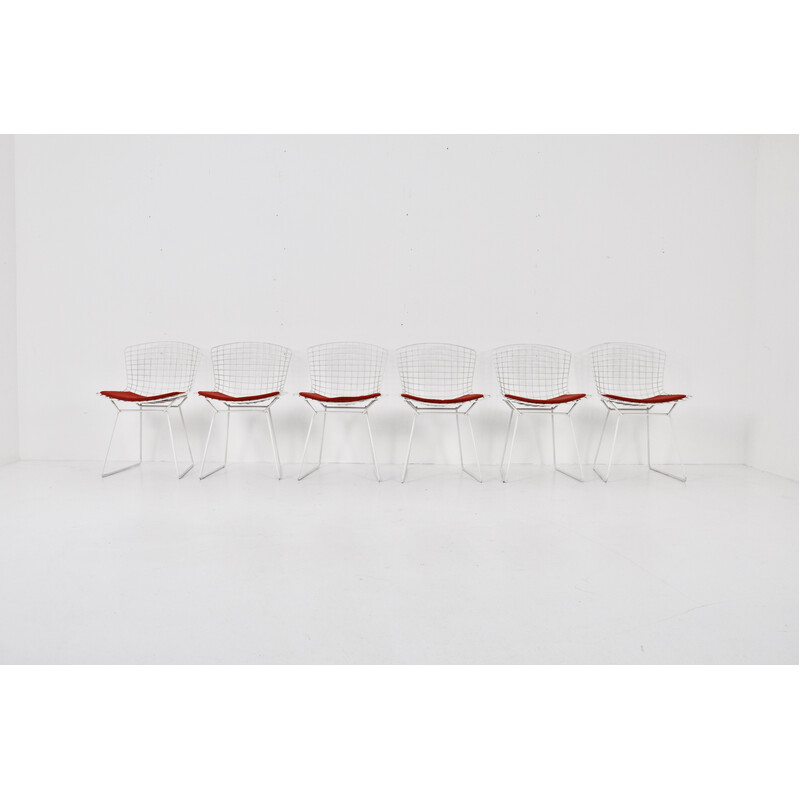 Conjunto de 6 cadeiras vintage de Harry Bertoia para Knoll, 1960