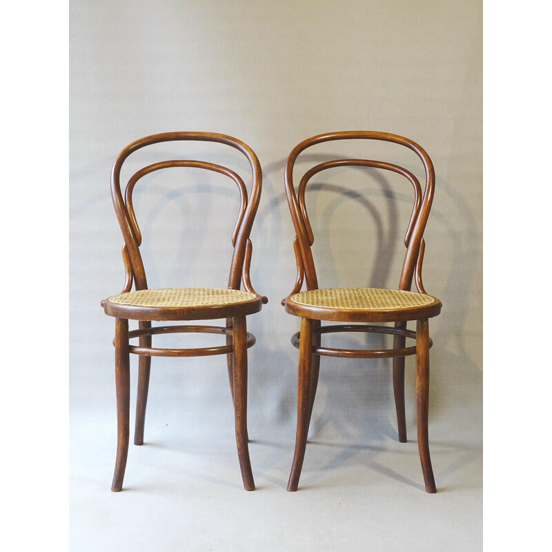 Paire de chaises vintage N°14 1900 par Turpe