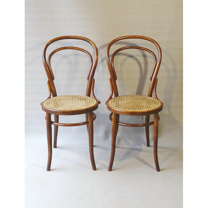 Paar Vintage Stühle Nr. 14 1900 von Turpe