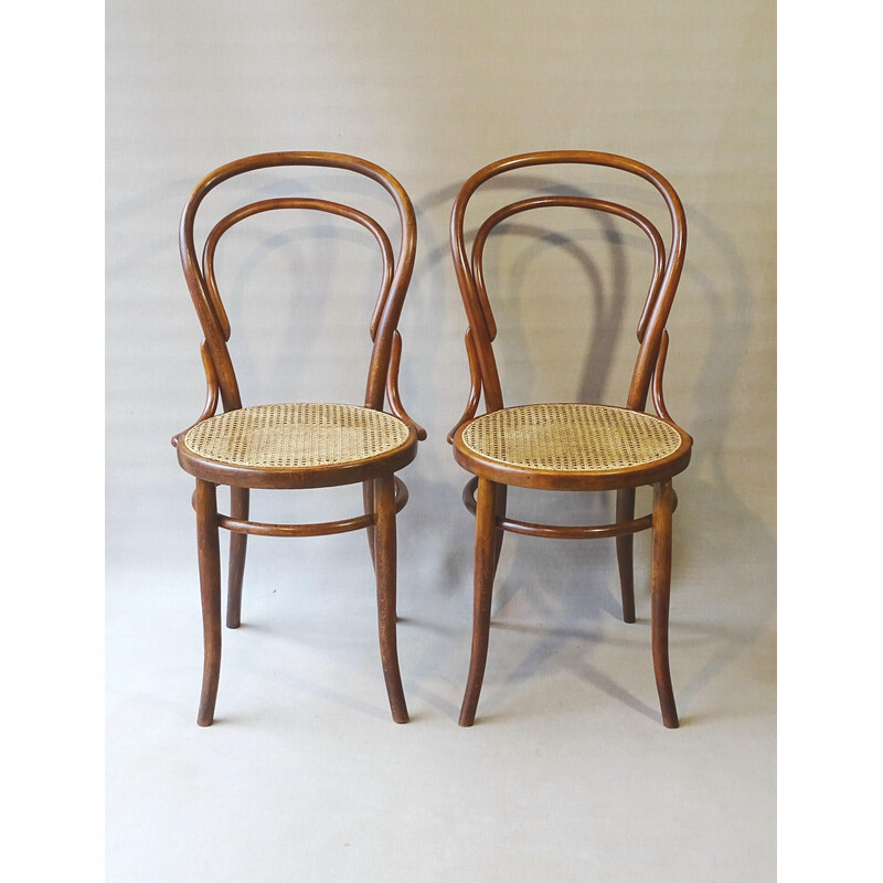 Pair of vintage chairs N°14 1900 by Turpe