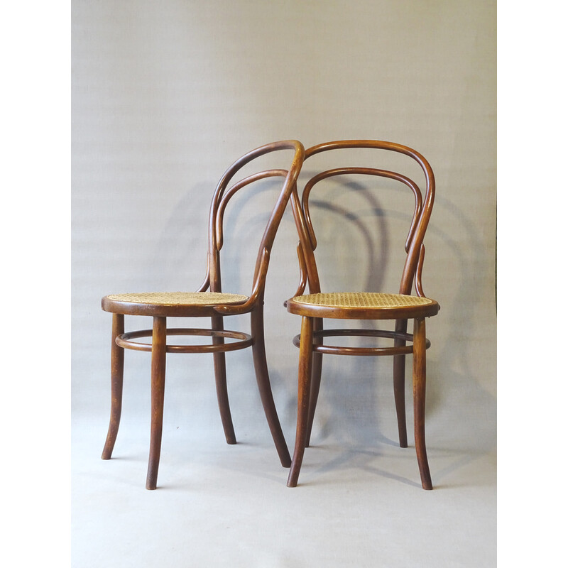 Paar vintage stoelen N°14 1900 van Turpe