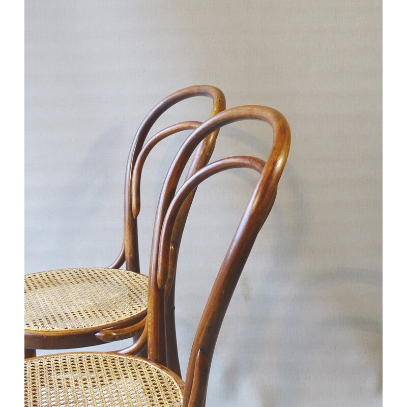 Pair of vintage chairs N°14 1900 by Turpe