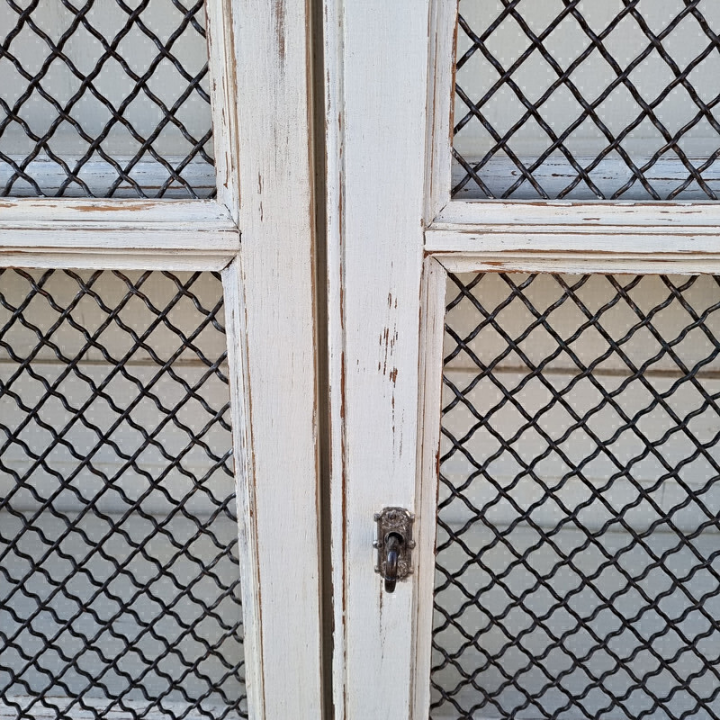 Vintage patina bookcase with wire doors, 1930