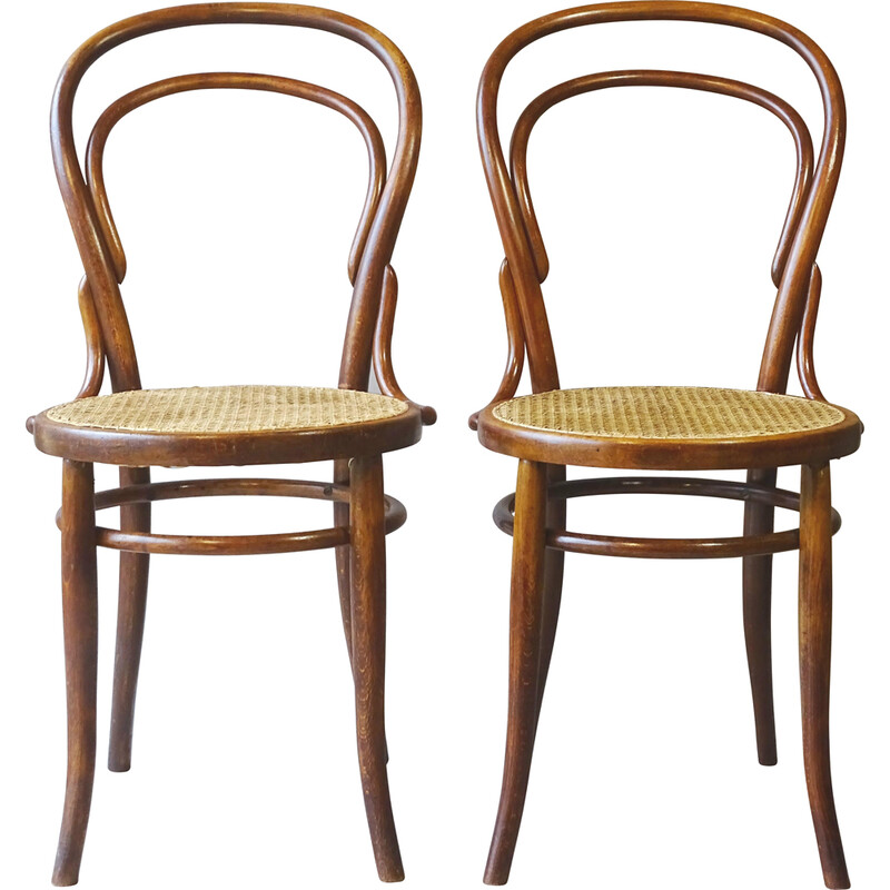 Pair of vintage chairs N°14 1900 by Turpe