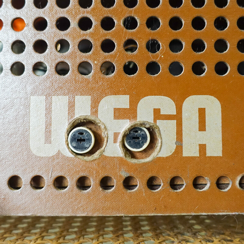 Vintage teak radio by Wega, 1960s