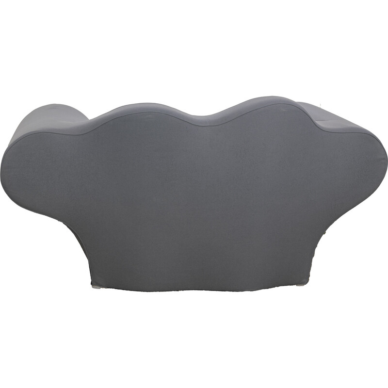 Vintage gray sofa by Ron Arad for Moroso