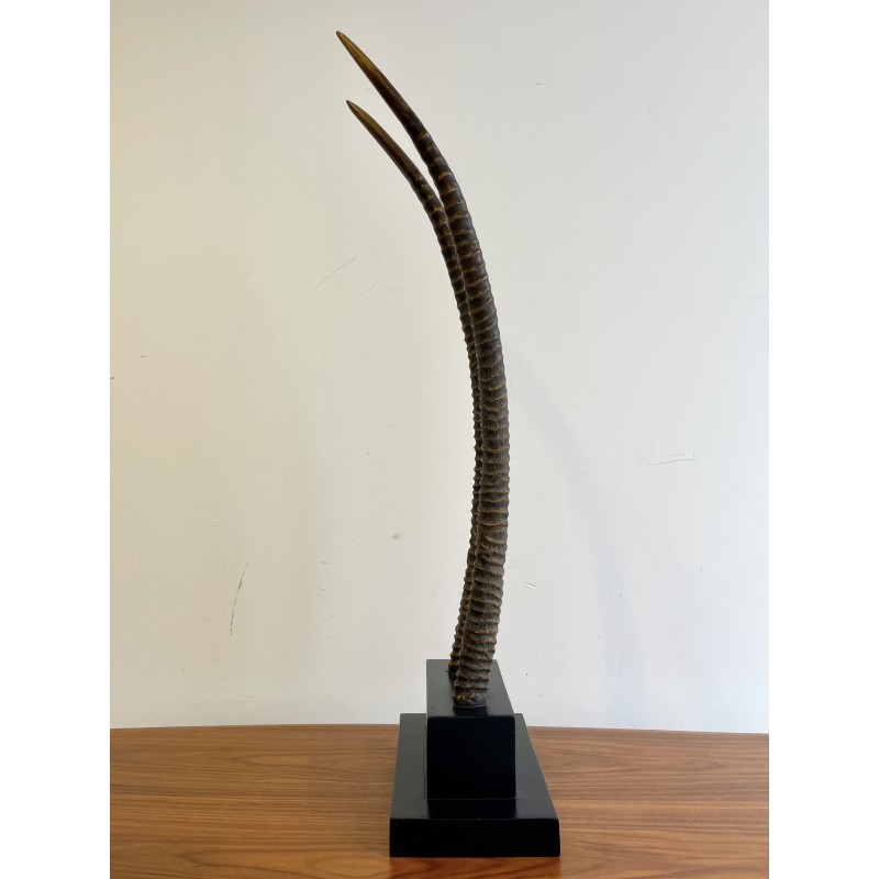 Vintage plinth with 2 oryx horns in ebony