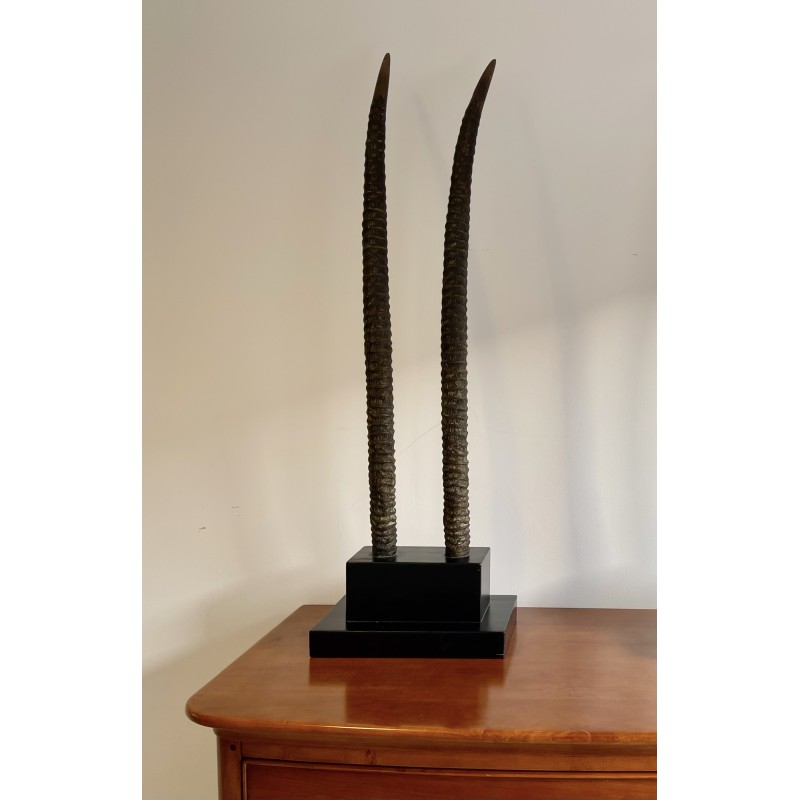 Vintage plinth with 2 oryx horns in ebony