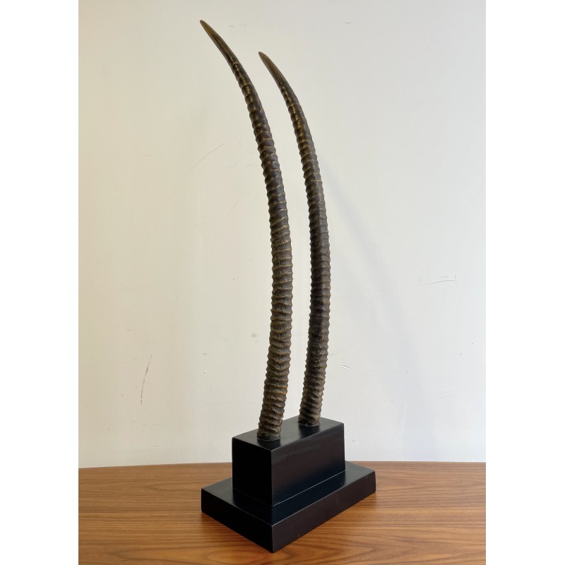 Vintage plinth with 2 oryx horns in ebony