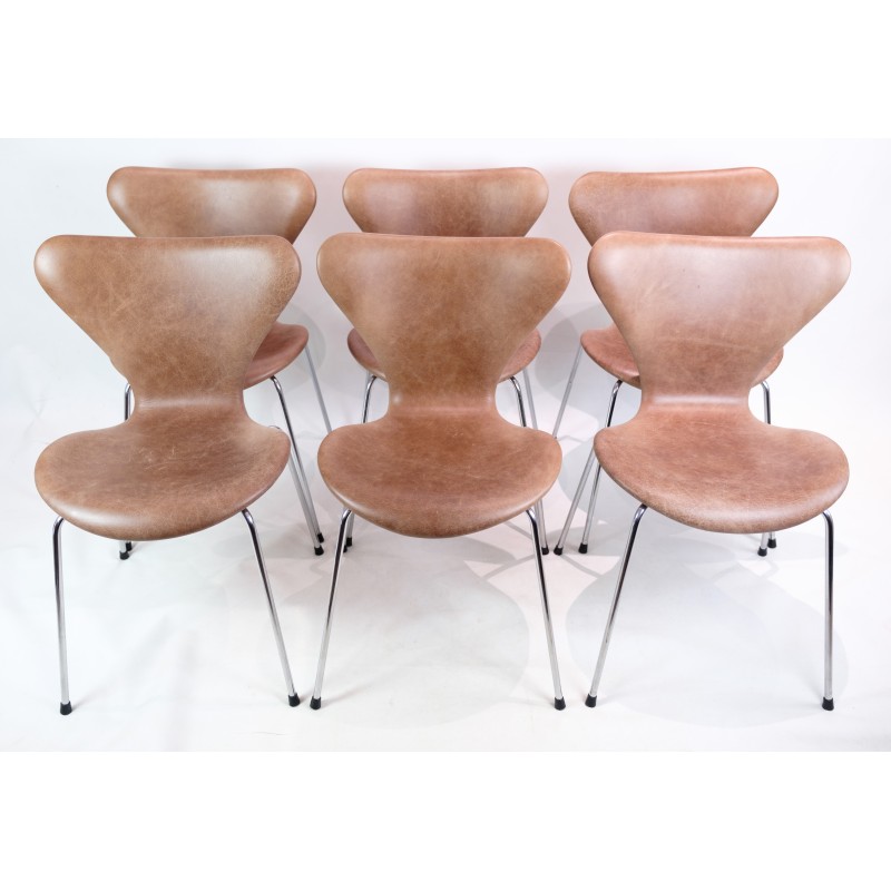 Conjunto de 6 cadeiras vintage Seven chairs 3107 por Arne Jacobsen para Fritz Hansen
